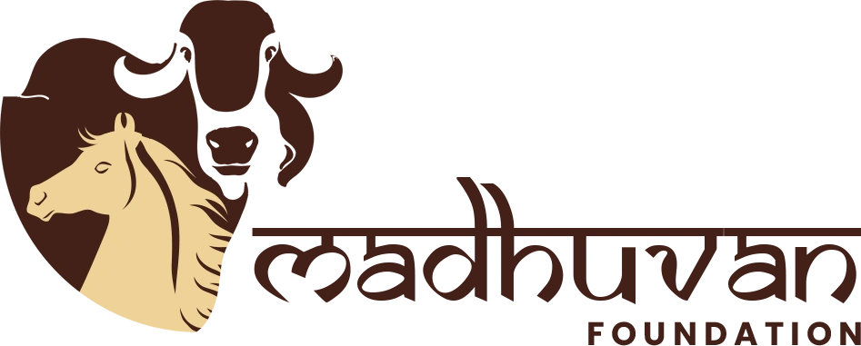 Madhuvanfoundation